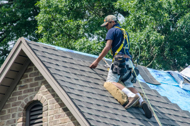 Best Roof Gutter Cleaning  in Pontiac, IL